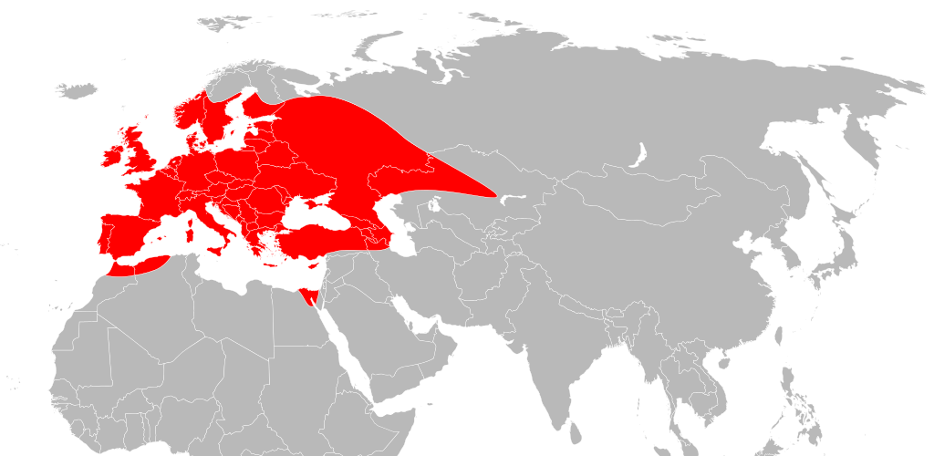 Ареал обитания Ixodes ricinus на территории Евразии.png
