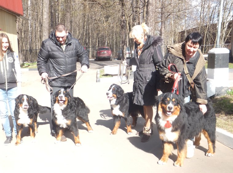 Беня 1г 1 мес выст.jpg