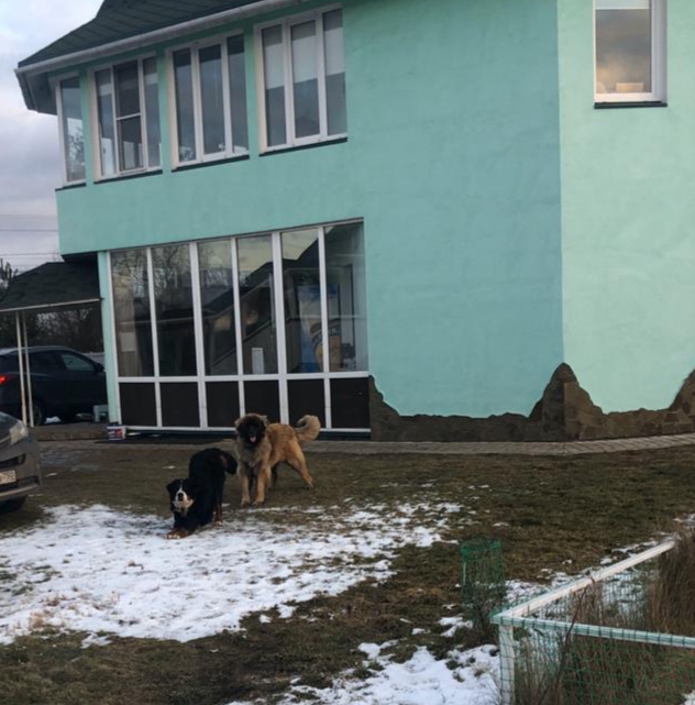 Бьёрн 1.jpg