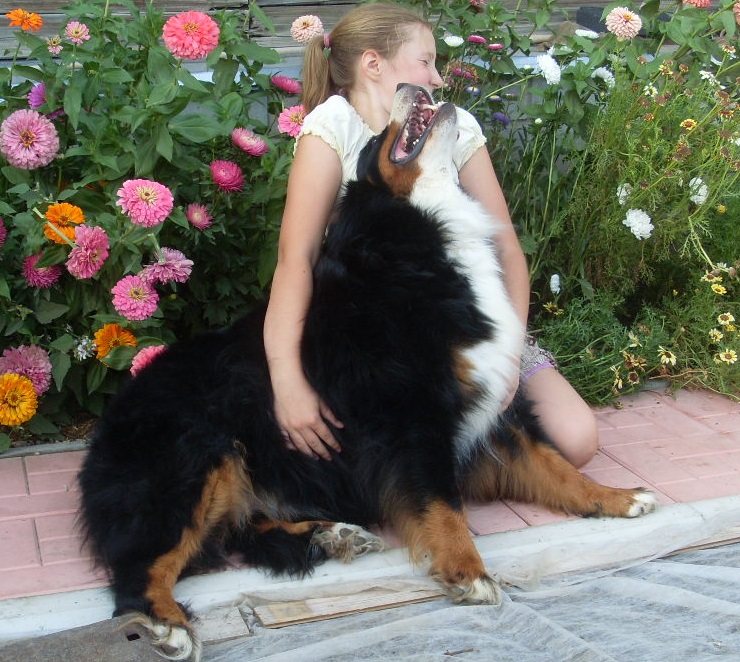 Грейси 994.jpg