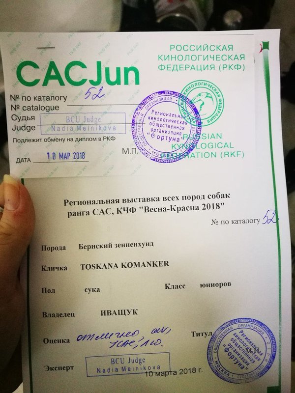 Диплом тосканы.jpg