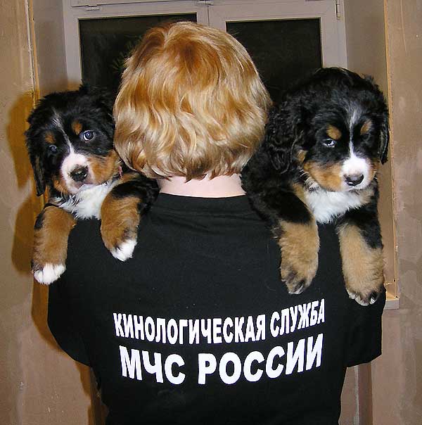 Изображение 080.jpg