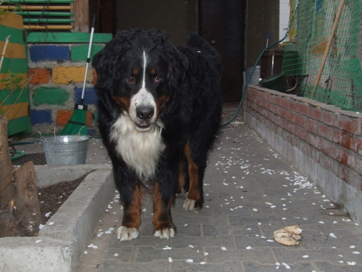 Копия DSCF1139.JPG