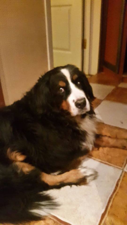 ОЛИВИЯ 10 лет.jpg