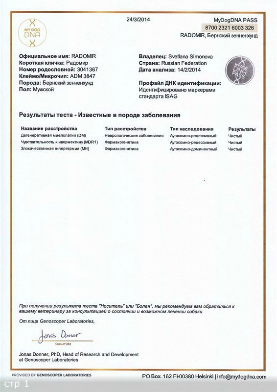 Радомира.jpg