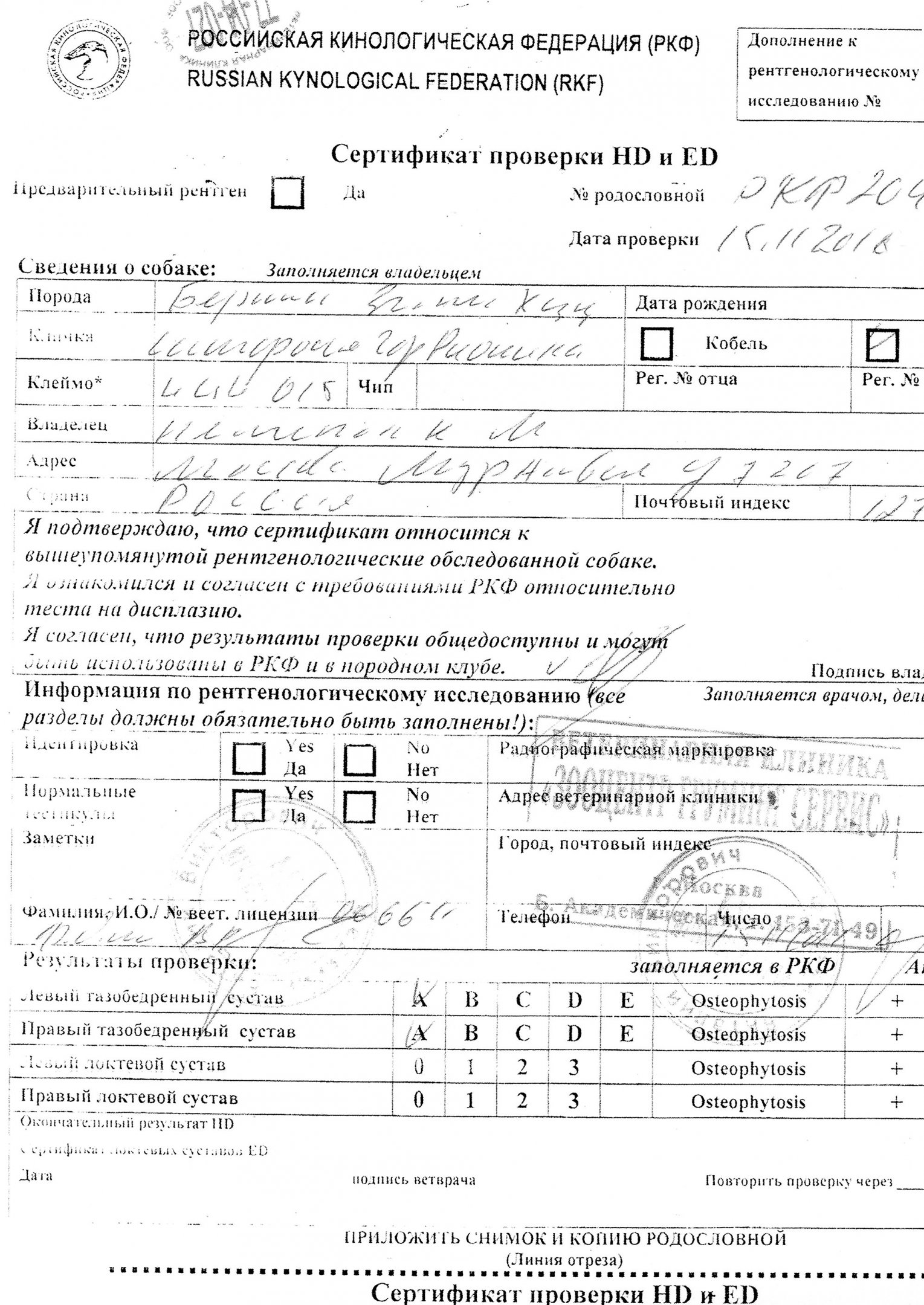 Рионика.jpg