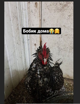 Скриншот 11-10-2020 115852.jpg