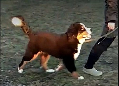 Скриншот 13-12-2020 105520.jpg1.jpg