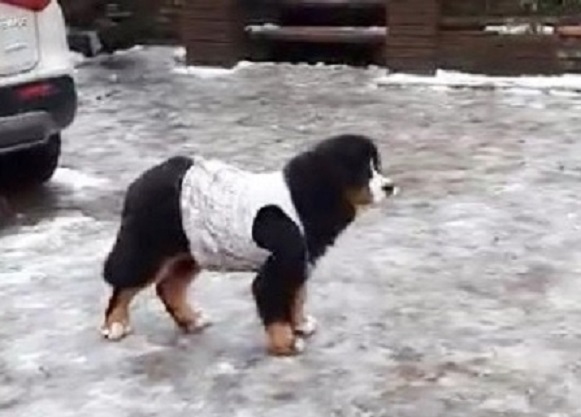 Скриншот 20-12-2020 123121.jpg