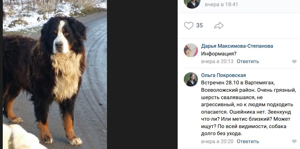 Скриншот 29-10-2019 144640.jpg