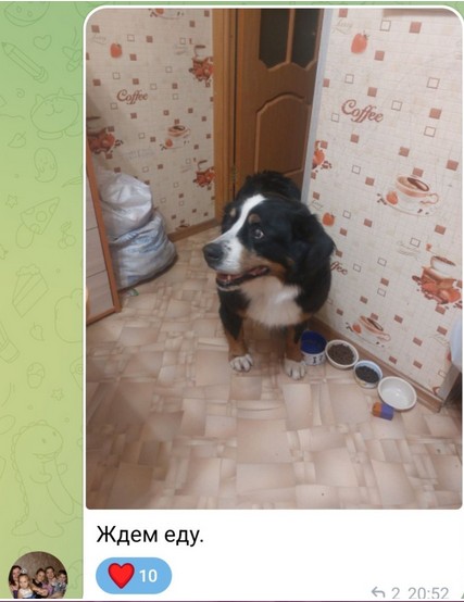 Скриншот 29-11-2022 212927.jpg