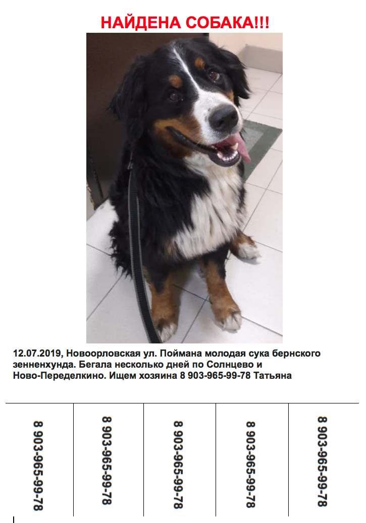 Снимок%20экрана%202019-07-13%20в%2012.24.17.png