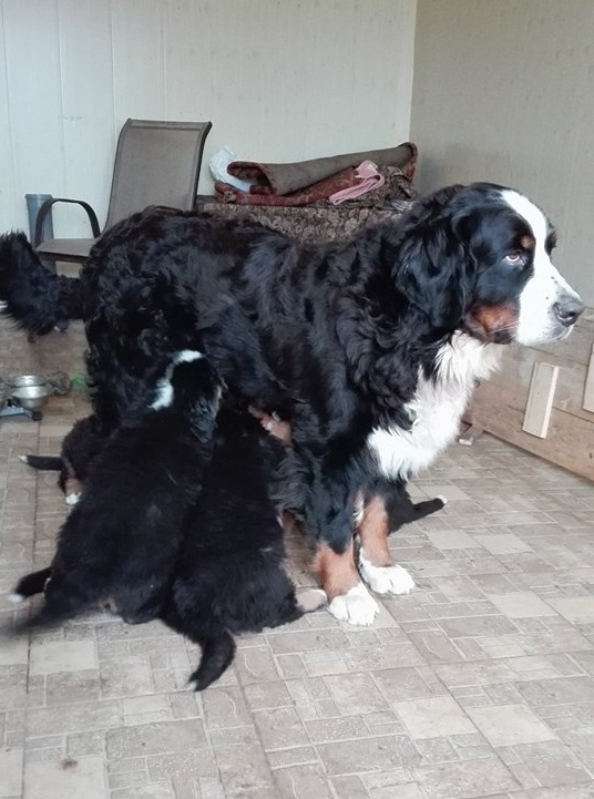 Ужин .jpg