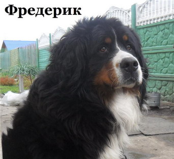 Фредерик.jpg