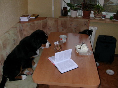 Читаем.jpg