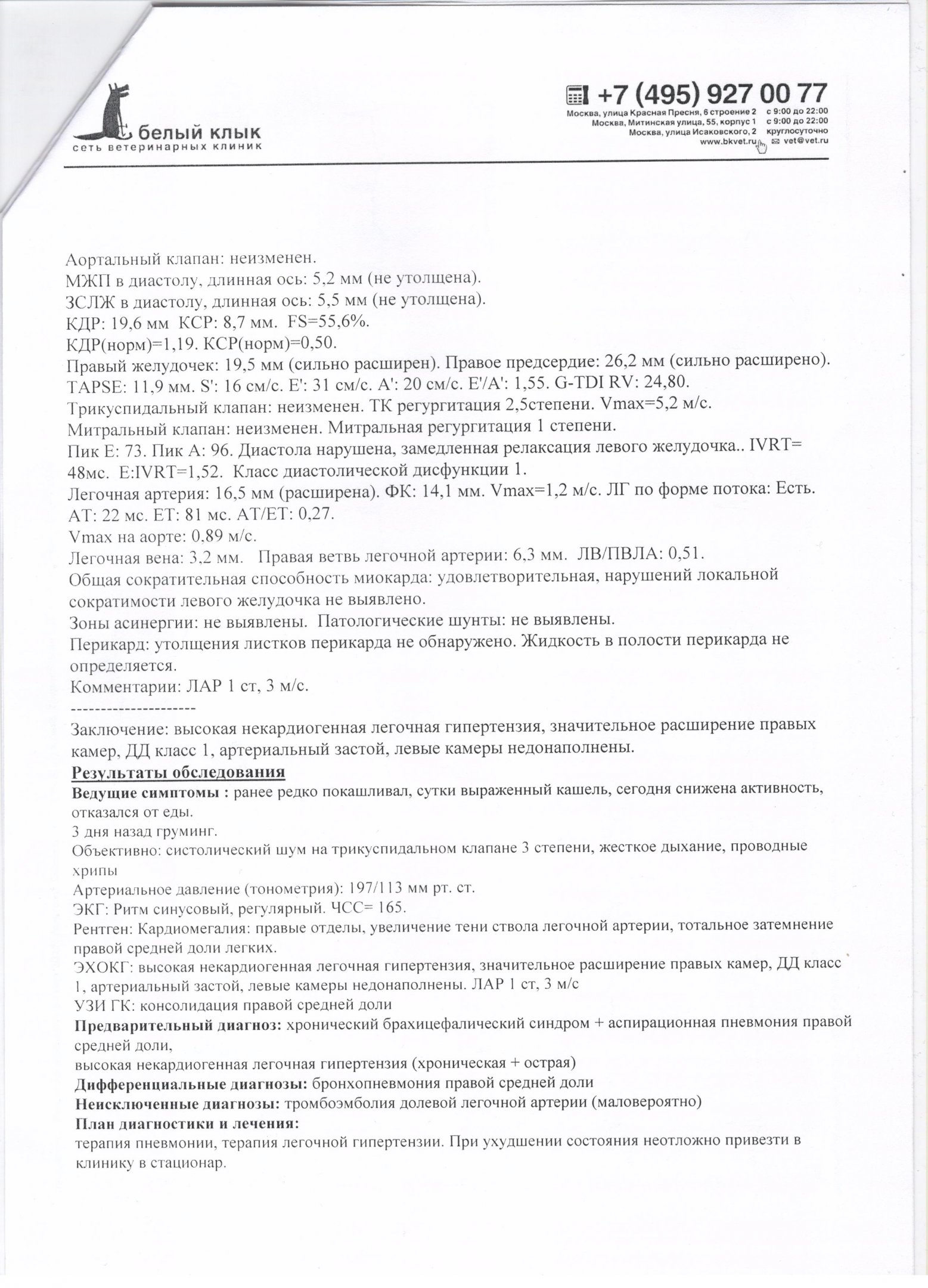 бкпепсик1.jpeg