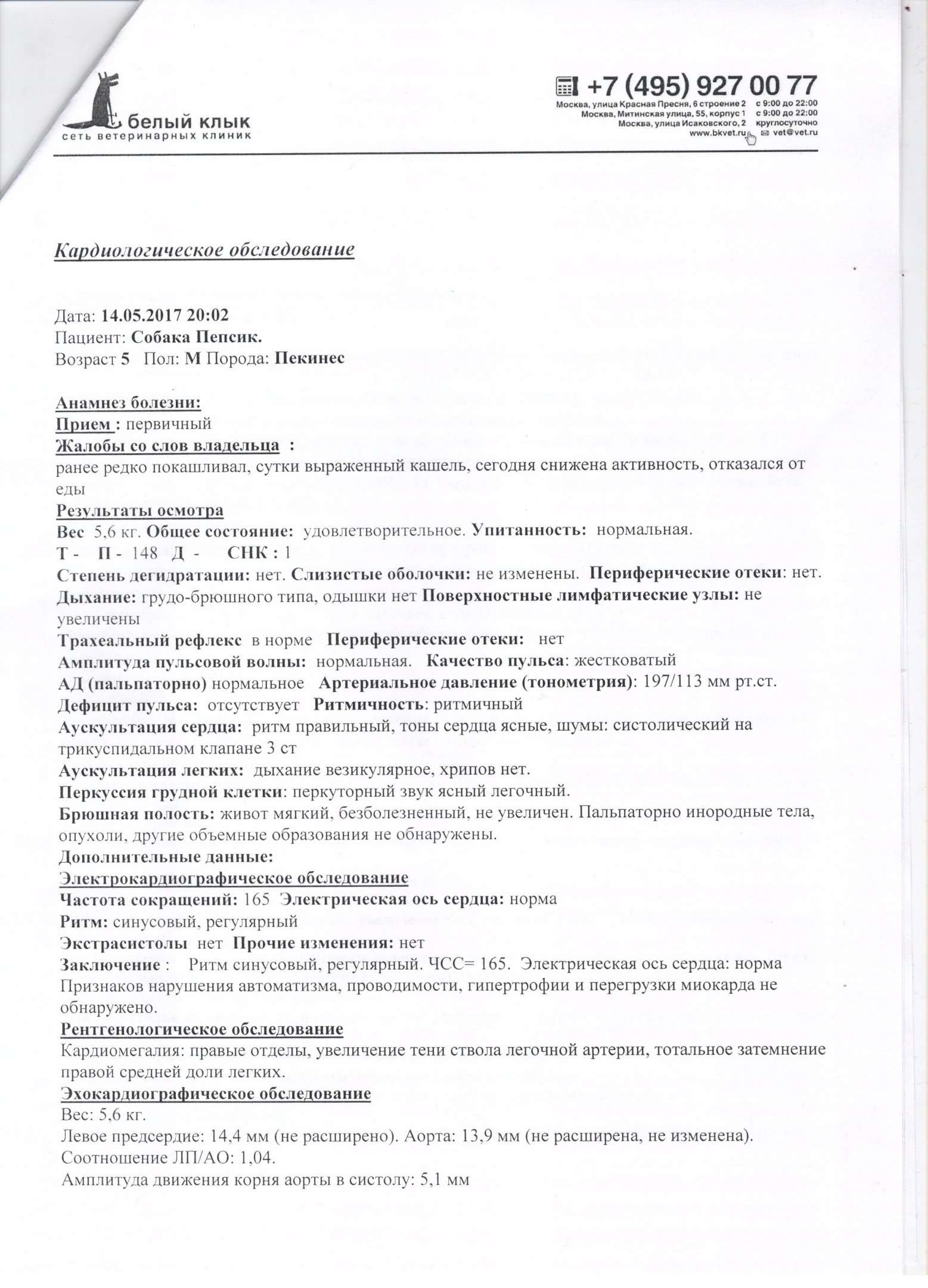 бкпепс.jpg