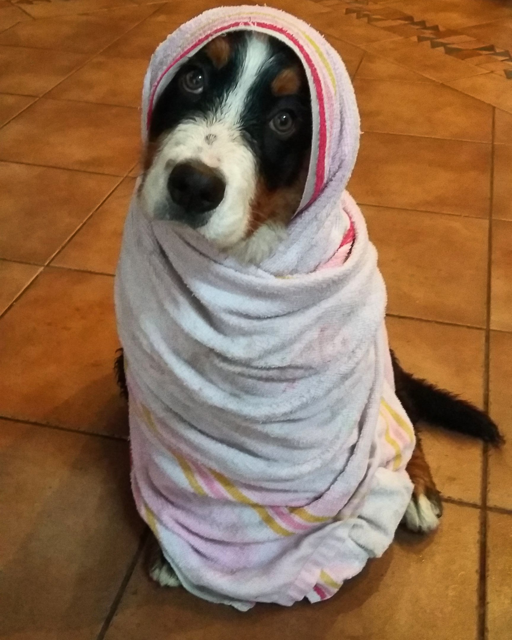 варя 2.jpg