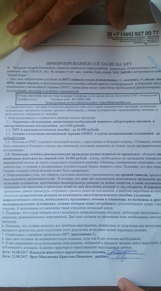 доки лорда.jpg