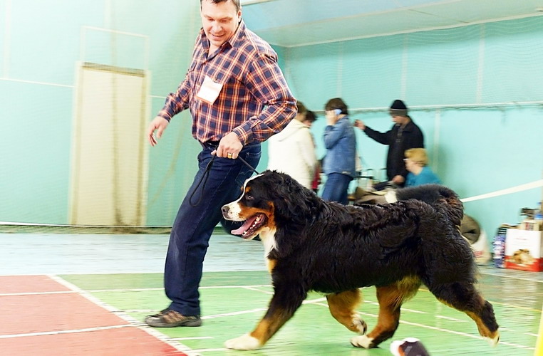 елоф2.jpg