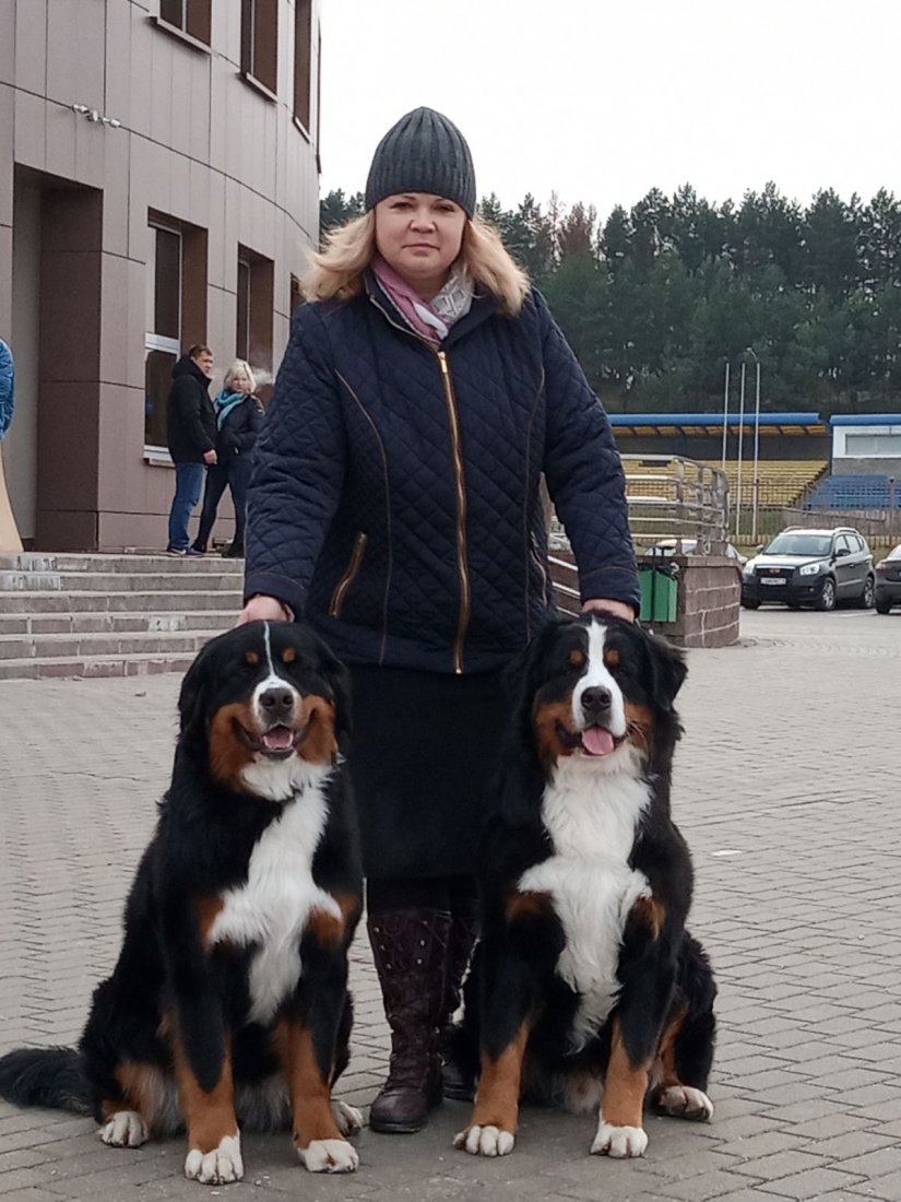 изображение_viber_2019-11-23_17-42-03.jpg