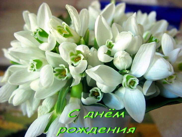 ире.jpg