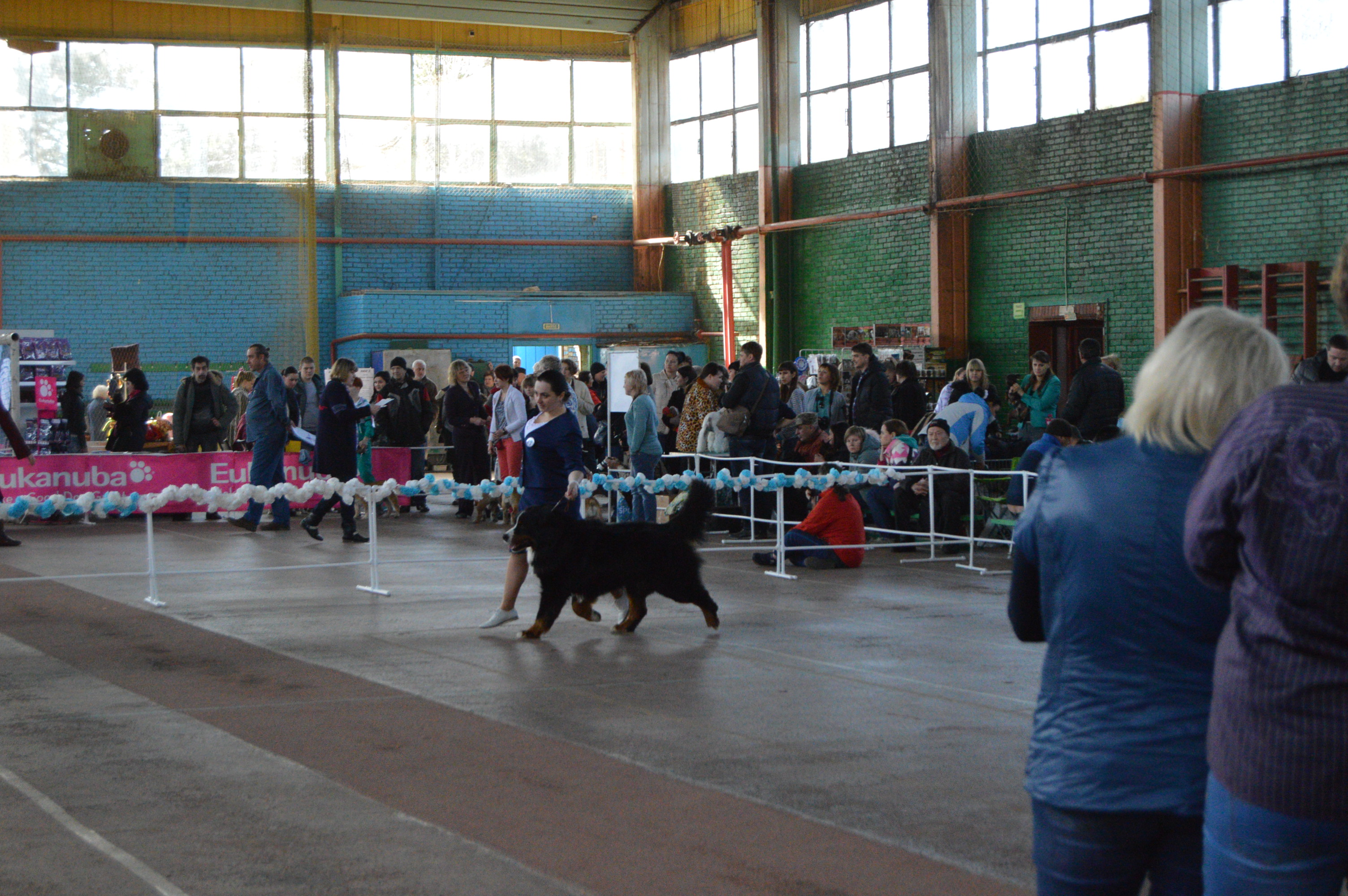 лучшие 160.jpg