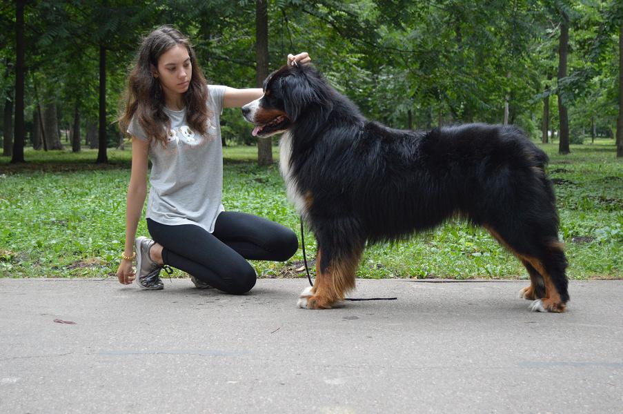 лучшие 562.jpg