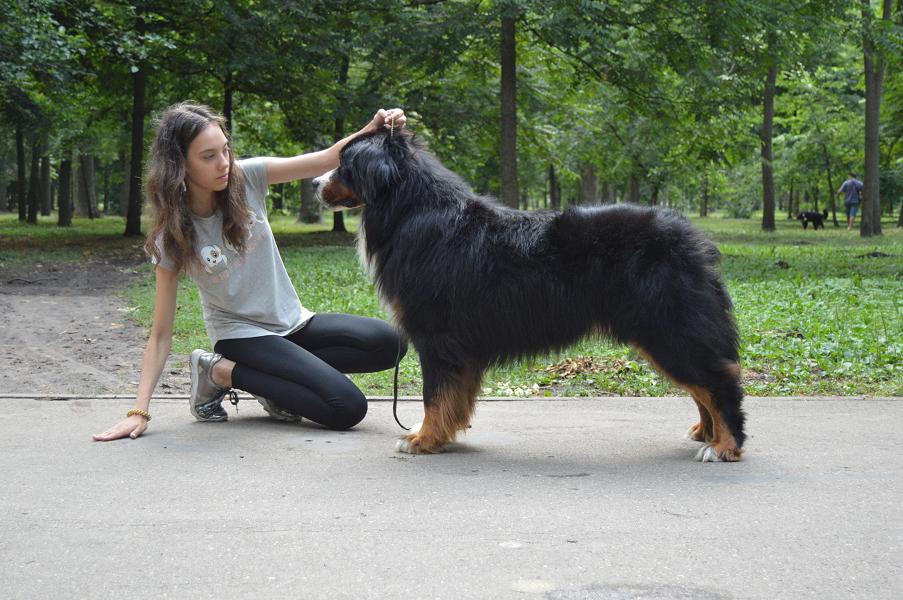 лучшие 619.jpg