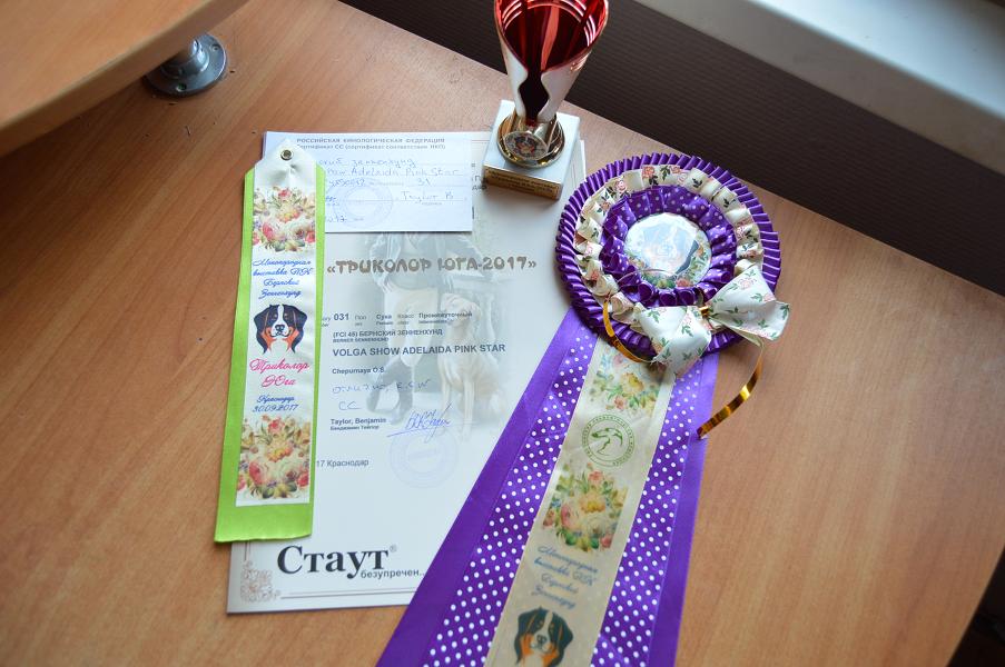 лучшие 644.jpg