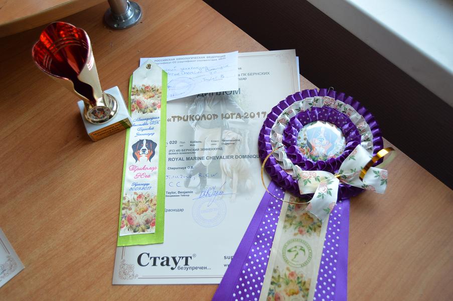 лучшие 648.jpg