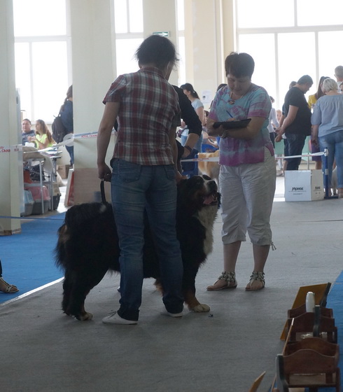 м3.jpg