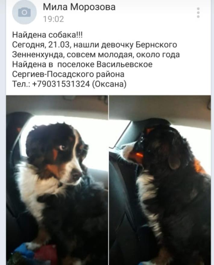 потеряшка2.jpg