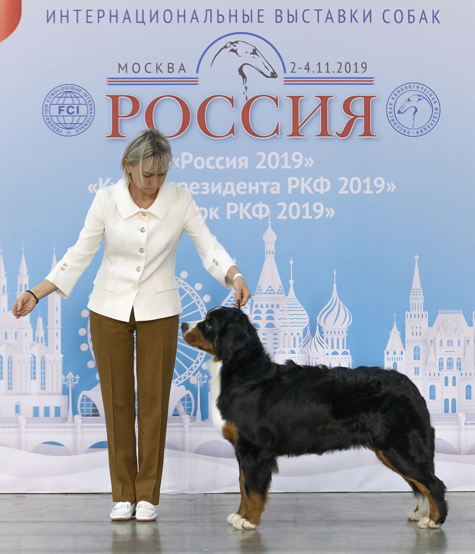 стойка.png