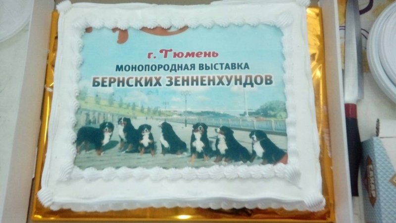 торт.jpg