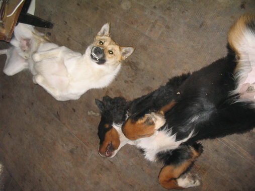 улыбаки.jpg