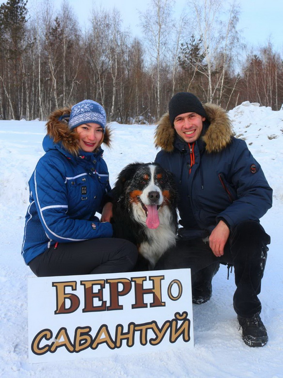 эл тм.jpg