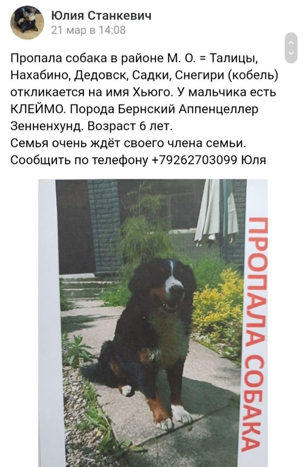 энтлик Дедовск.jpg