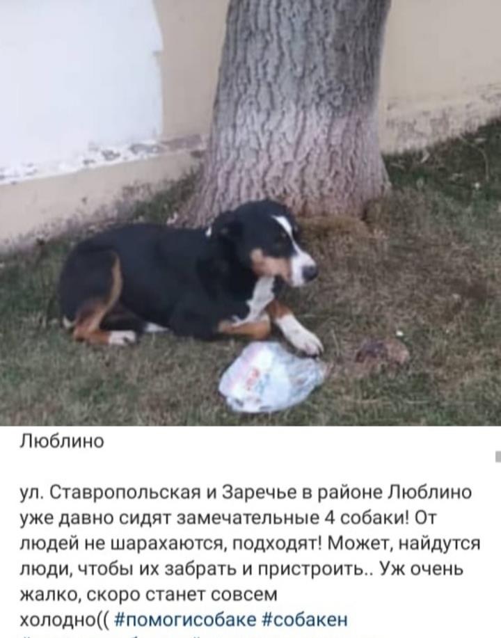 013F5EA8-7B91-4389-9349-4893BF641ECD.jpeg