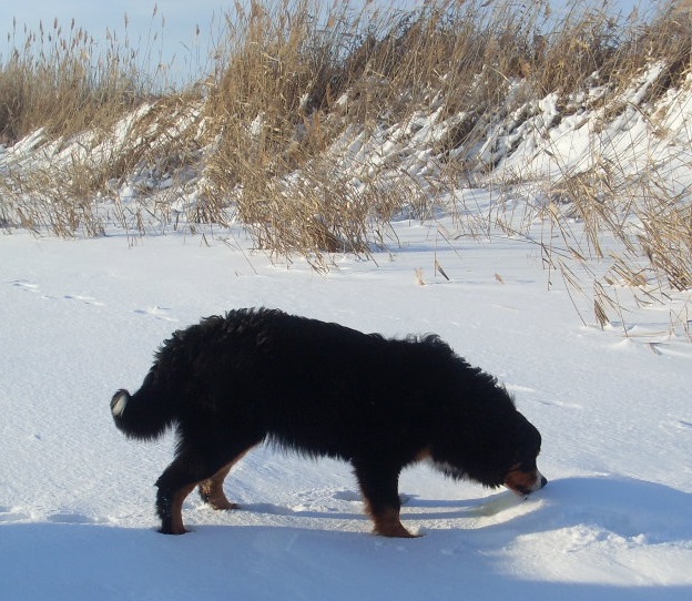 02. 22.01. в2.jpg
