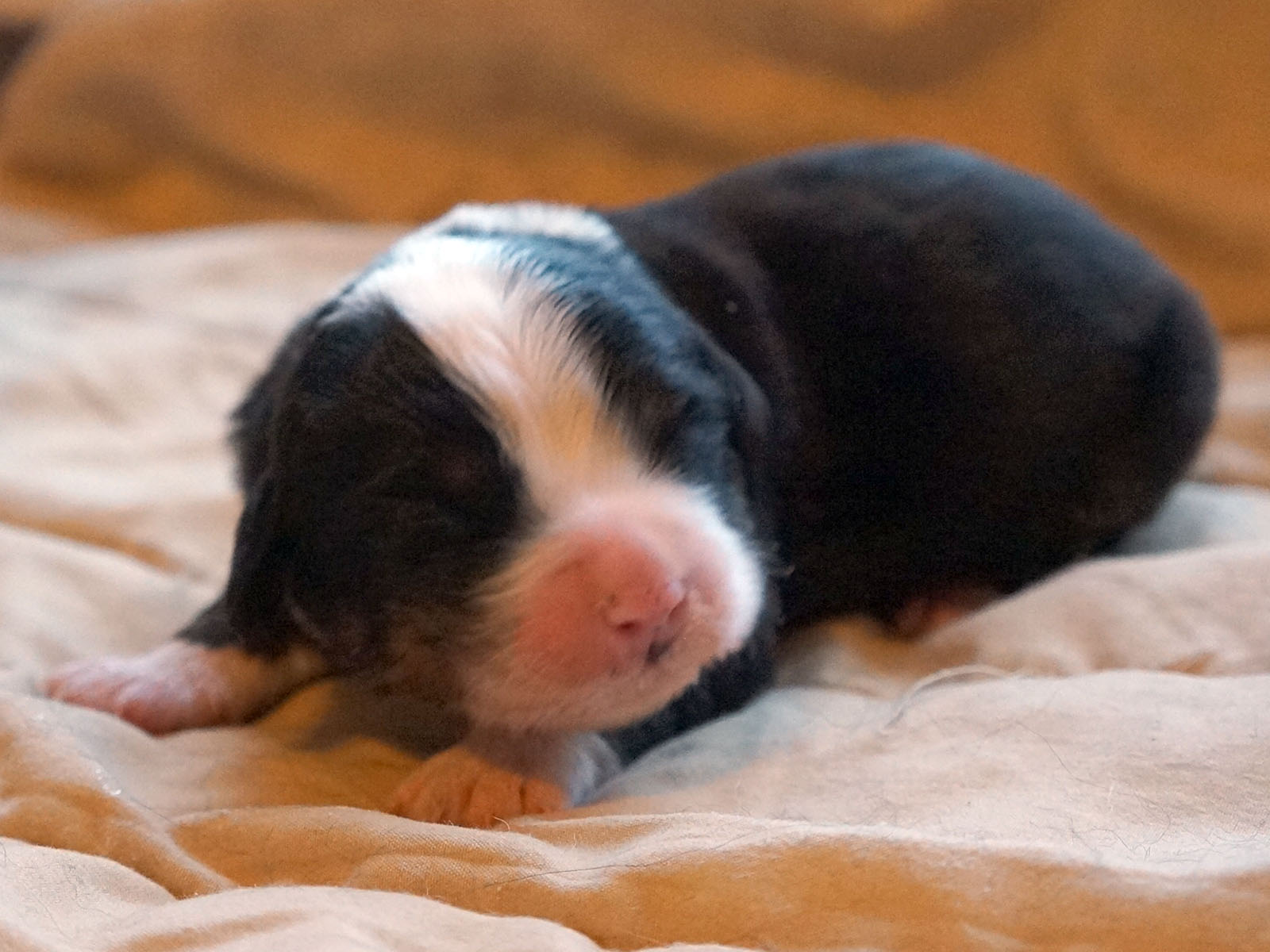 02.jpg