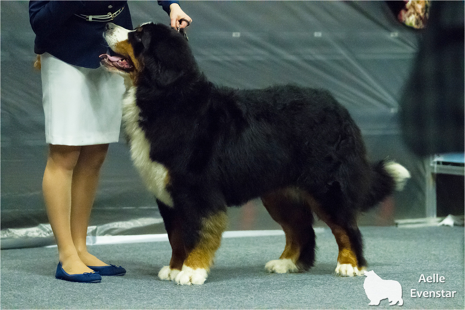 0_15b41c_1507365d_orig.jpg