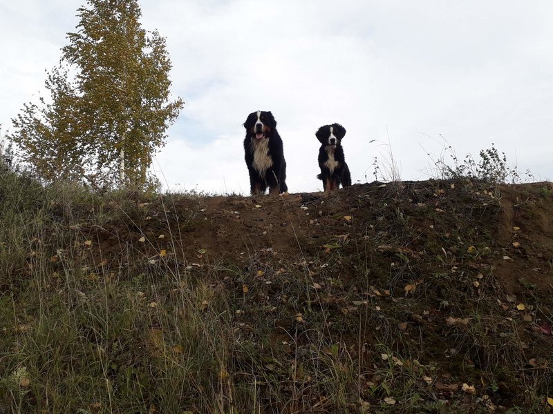 0_20181007_145824.jpg