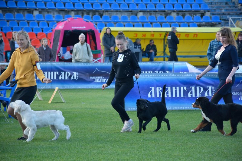 0_DSC_0025.JPG