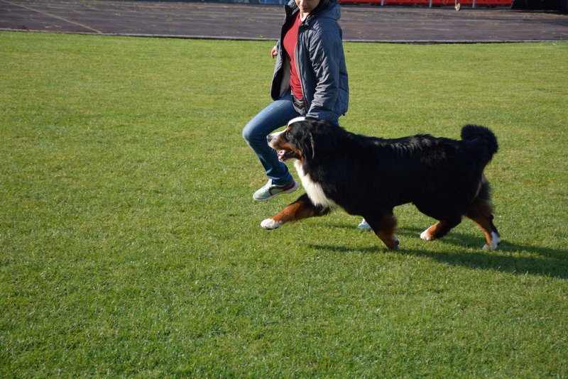 0_DSC_0116.JPG