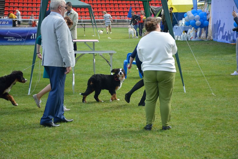 0_DSC_0385.JPG