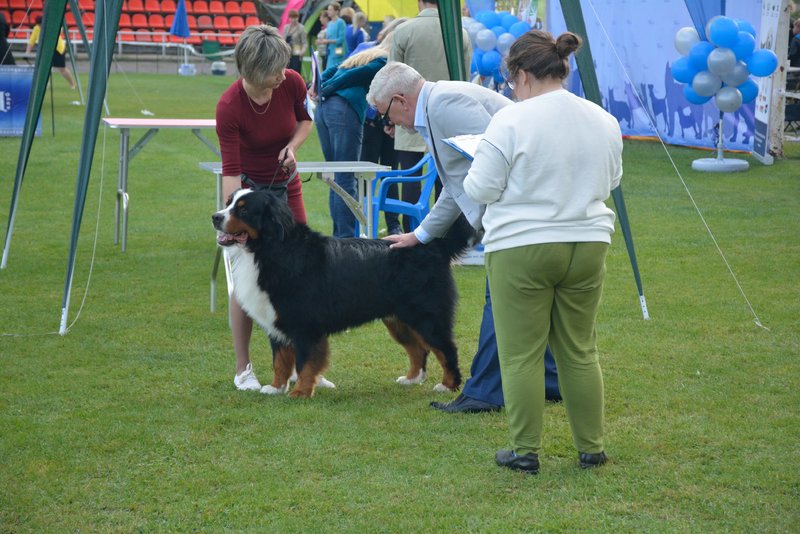 0_DSC_0391.JPG