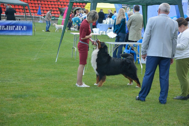 0_DSC_0412.JPG