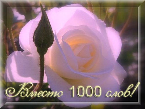 0e80f5b81bea.jpg