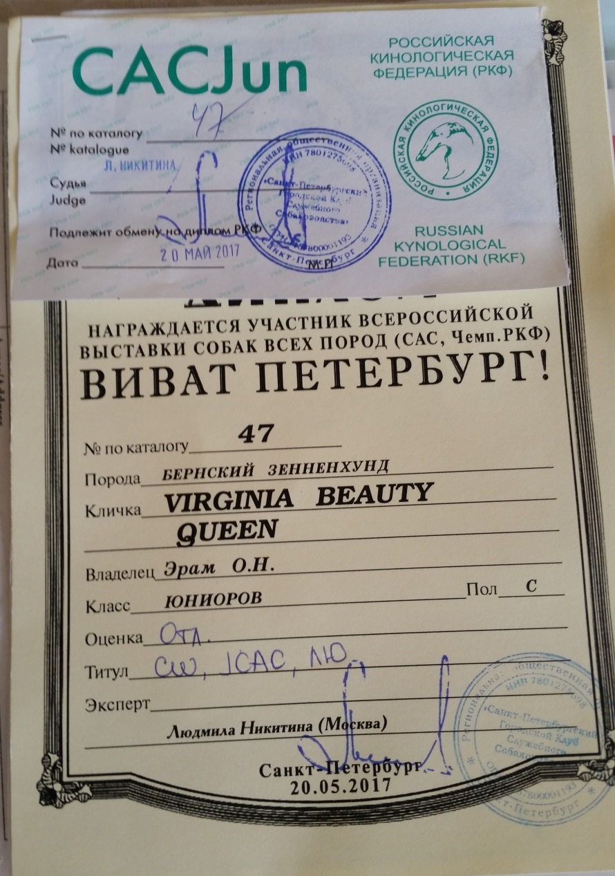 1год. 90.jpg